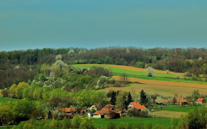 Který obchod se otevře ve vesnici