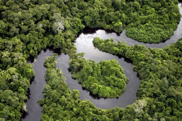 Jak se projevuje dopad environmentálních faktorů?