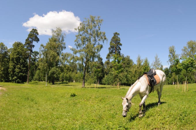 Jak se dostat do Yasnaya Polyana