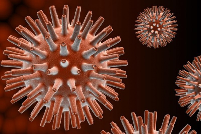 herpes virus